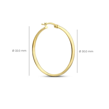 Noa Serane Earrings | Gold